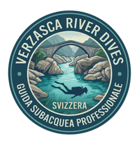 Verzasca River Dives